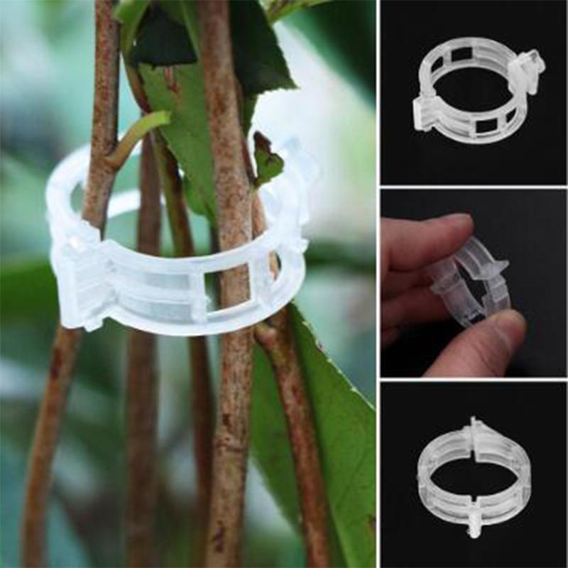 50/100pcs Durable Plant Support Clips Clamps for Types Plants Hanging Vine Garden Greenhouse Vegetables Tomatoes Clips