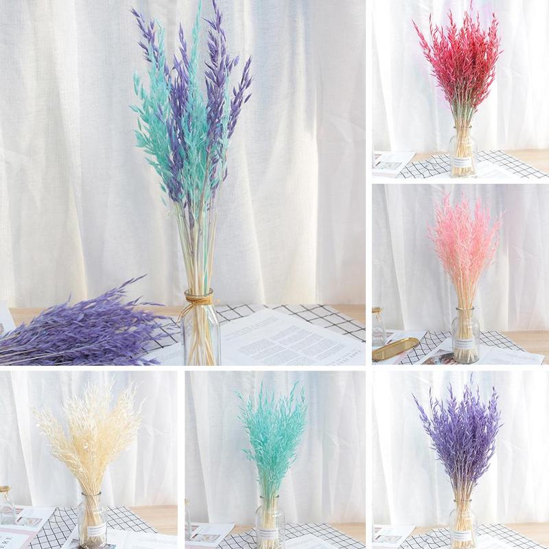 50pcs Natural Plant Colored Oat Dried Flower Hay Bouquet Modern Wedding Ceremony Decoration Home Flower Decoration S5Z4