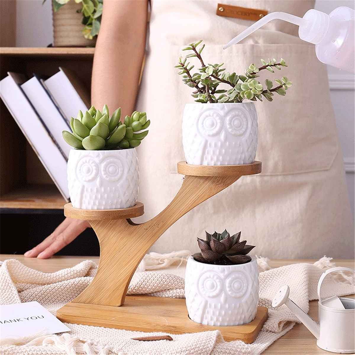 2 Styles Ceramic Succulent Pots Garden Planter for Plants Bonsai Pot Bamboo Plants Stand Sets