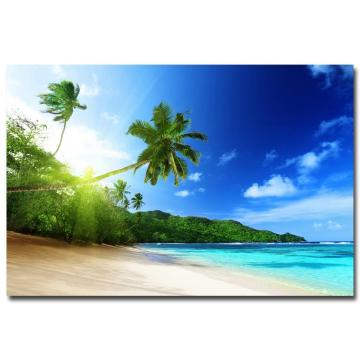 NICOLESHENTING Sunshine - Tropical Sea Beach Skyline Nature Art Silk Fabric Poster Print Plam Trees Landscape Wall Picture