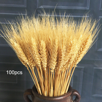 100Pcs/lot Natural Real Wheat Ear Flower for Wedding Party Decoration DIY Craft Scrapbook Home Decor Dried Flowers