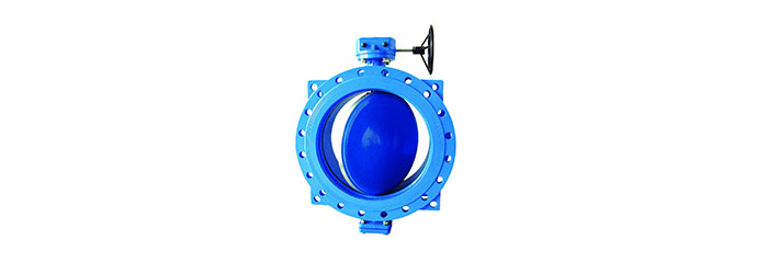 butterfly valve1