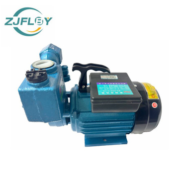 750w Tianhu Prince Self-priming Pump