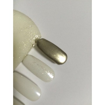 New Arrived Champagne Gold Mirror Pigment Powder Aluminium Powder Chrome Pigment Nail Glitters Nail Sequins 2060F-1