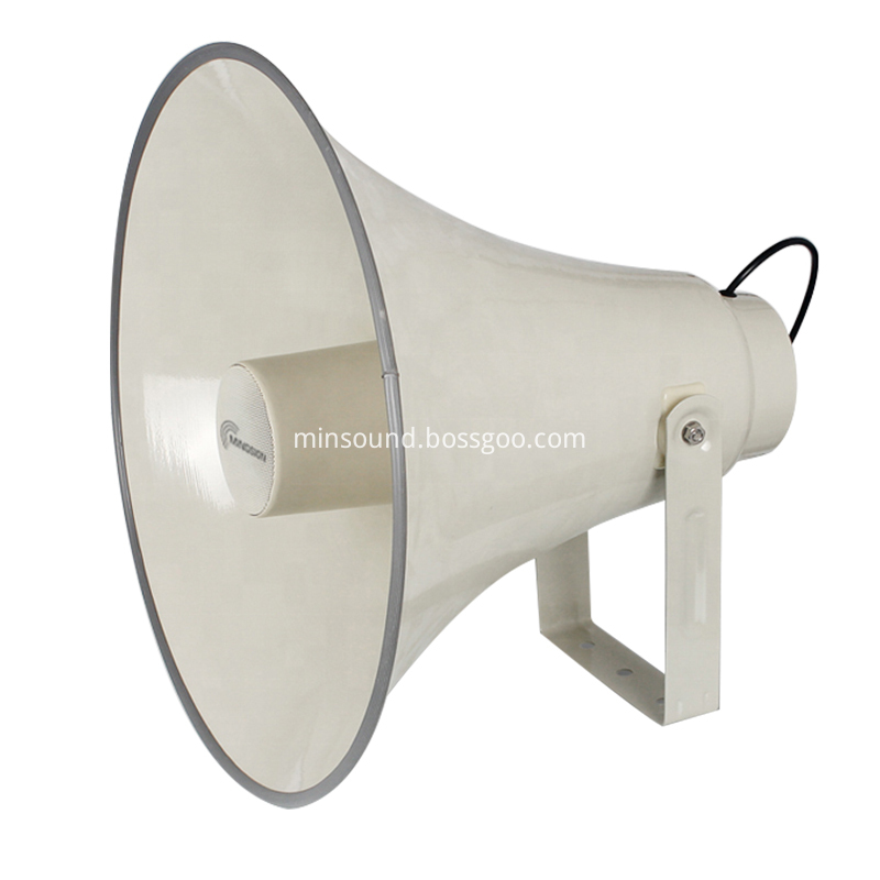 Speaker Horn