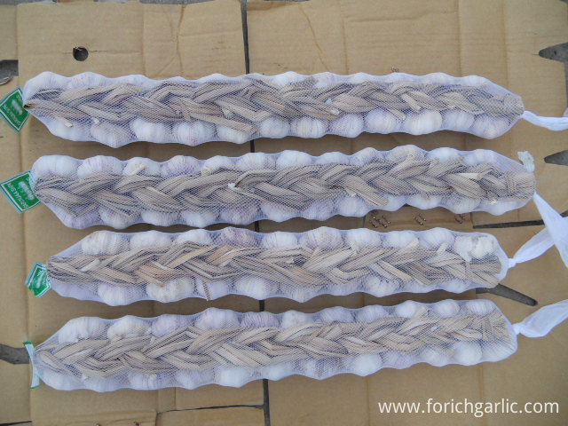 Garlic Braids Garlic Braids