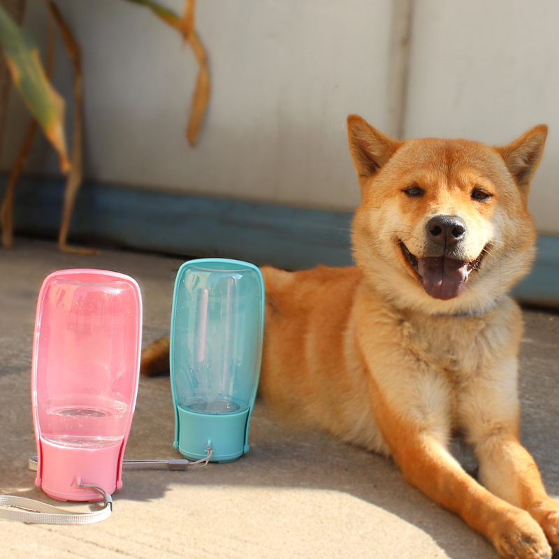 Dog Water Bottle Uk