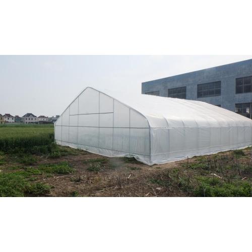 Film Single span greenhouse for vegetables Manufacturers and Film Single span greenhouse for vegetables Suppliers