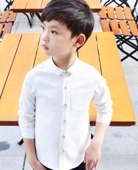 Formal Kids Party Wear 2Pc Boys Formal Suit for Wedding 2020 Toddler Boy Blazer Suit dress Student School Ceremony Costumes