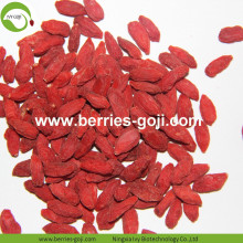 Factory Wholesale New Harvest Fruit Products Wolfberry