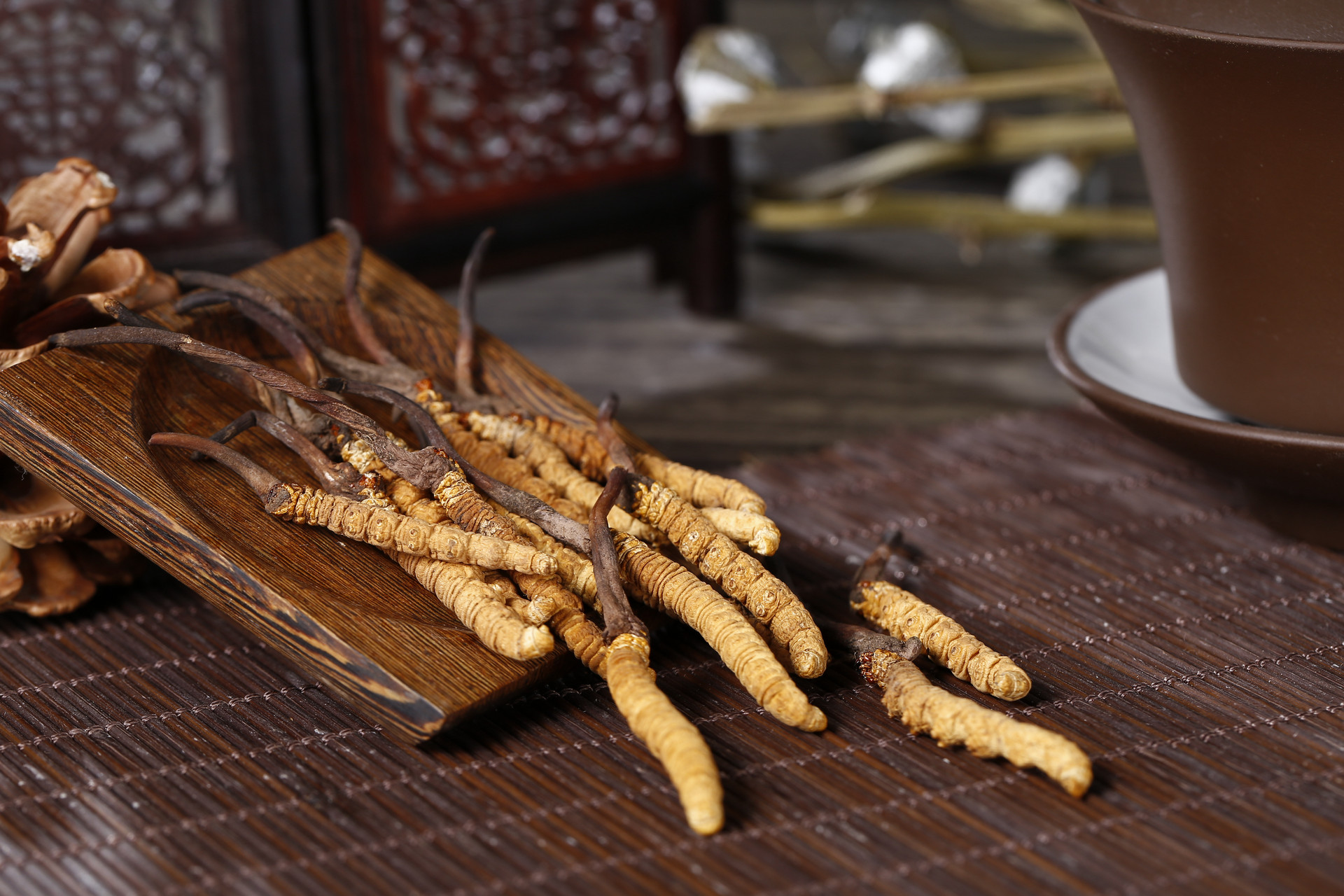 Cordyceps Militaris