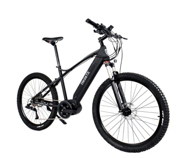 electric mountain bike