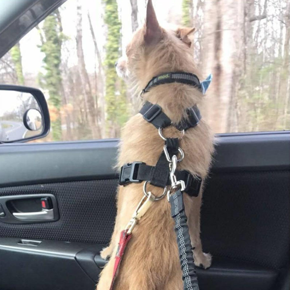 Upgraded Dog Seat Belt Dog Car Seatbelts Adjustable Pet Seat Belt for Vehicle Nylon Pet Safety Seat Belts Elastic & Reflective
