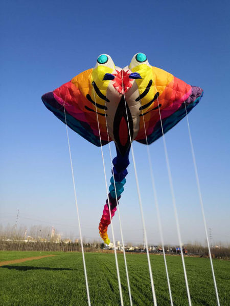 15m big kites for adults single line kite ripstop nylon fabric vliegers flying kite weather vane soft kite soft pulpo windsock