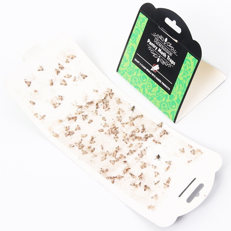 6pcs/lot Effective Pantry Food Moths Pheromone Killer Sticky Glue Pest Reject Fly Moth Trap for Moles Sticker Factory Restaurant
