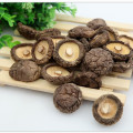 Natural Wild Mushrooms Edible Mushrooms Lower Cholesterol Dry Mushrooms Wild Healthy Food, Dried Mushrooms, Free Shipping