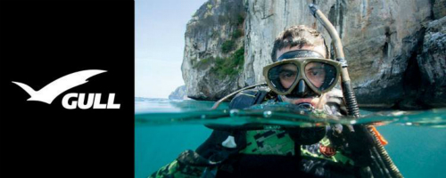 Gull Diving Masks