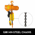 1T 2200Lb 220V/380V Electric Hoist Crane Lift Overhead Garage Winch Chain hoist for Factories/Warehouses/Buildings Cargo Lifting