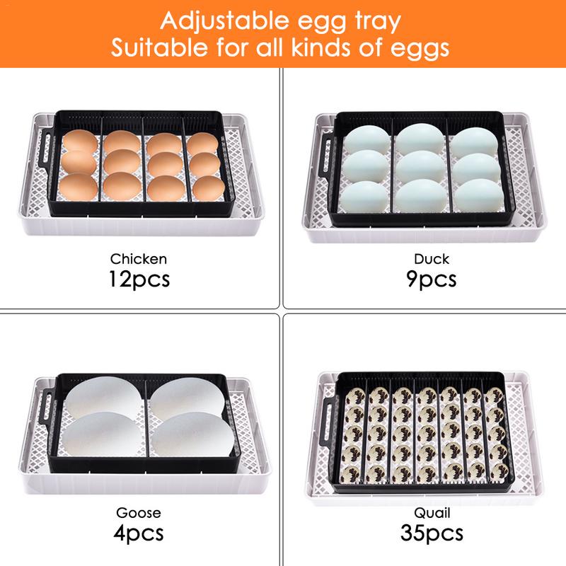 Automatic Digital 12 Eggs Incubator Hatcher Large Capacity Practical Incubators For Chicken Poultry Quail Eggs Home Use