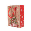 https://www.bossgoo.com/product-detail/custom-christmas-packaging-paper-gift-bag-63435089.html