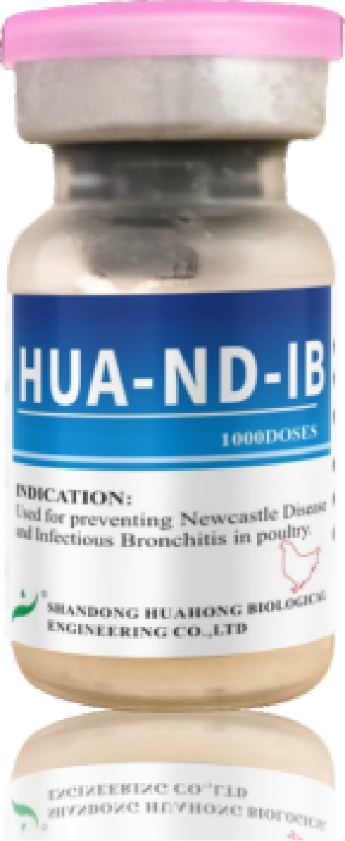 HUA-ND-IB