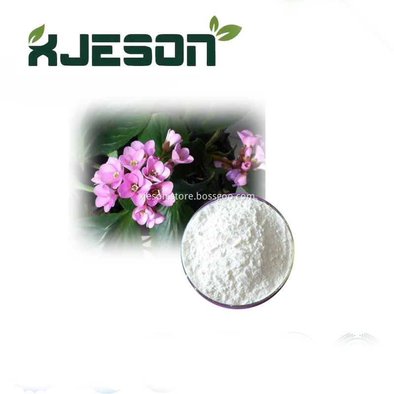 Use For Sedation Herb Medicine Health Care Factory Price Bergenin