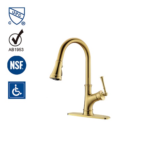 Kitchen Faucet