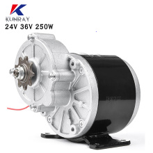 350W 24V 36V Gear Motor Electric Tricycle Brush DC Motor Gear Brushed Motor My1016Z3 for e bike motorcycle