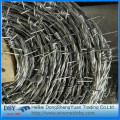 hot dip galvanized and stainless steel barbed wire