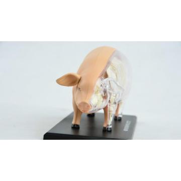 Assembly 4D Pig Anatomy Model Pig Anatomy Medical Anatomic Animal Model Puzzels for Children Skeleton Educational Science Toys