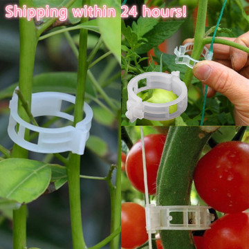 50/100 Pcs Reusable 23mm Plastic Plant Support Clips Clamps For Plants Hanging Vine Garden Greenhouse Vegetables Tomatoes Clips