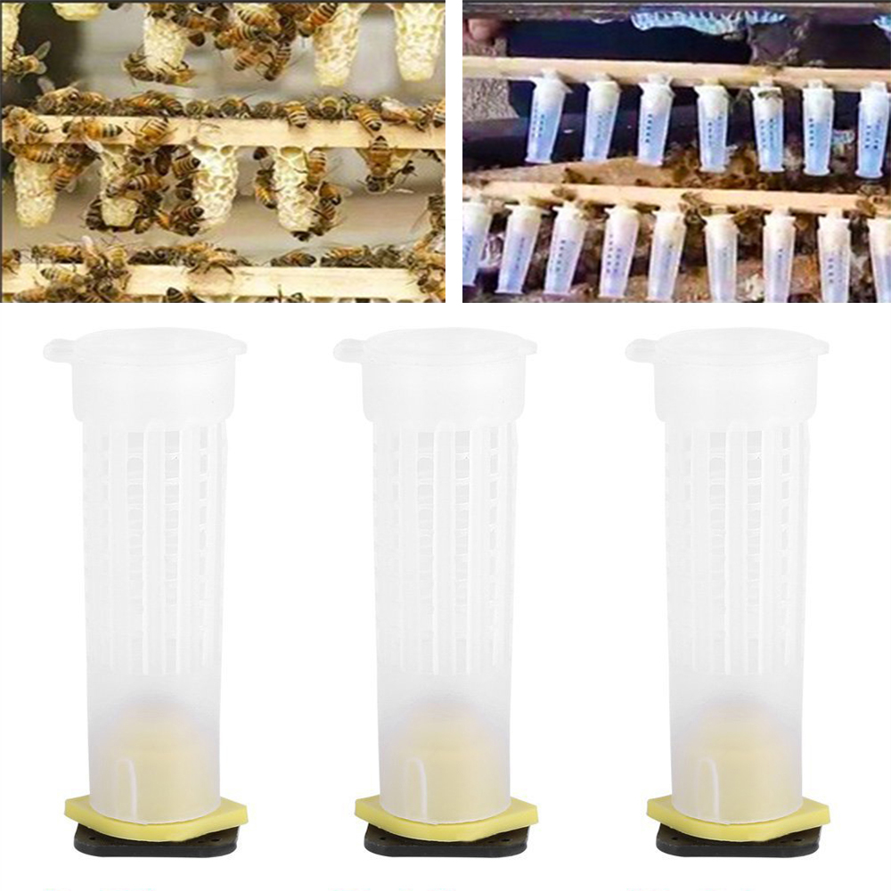 Bee rearing kit complete system new bee queen cages cell box plastic accessories apiculture beekeeper protection cover supplies