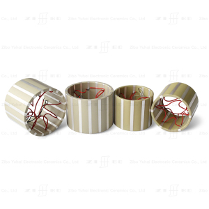 Piezoelectric Tangential Tube 12 Strips