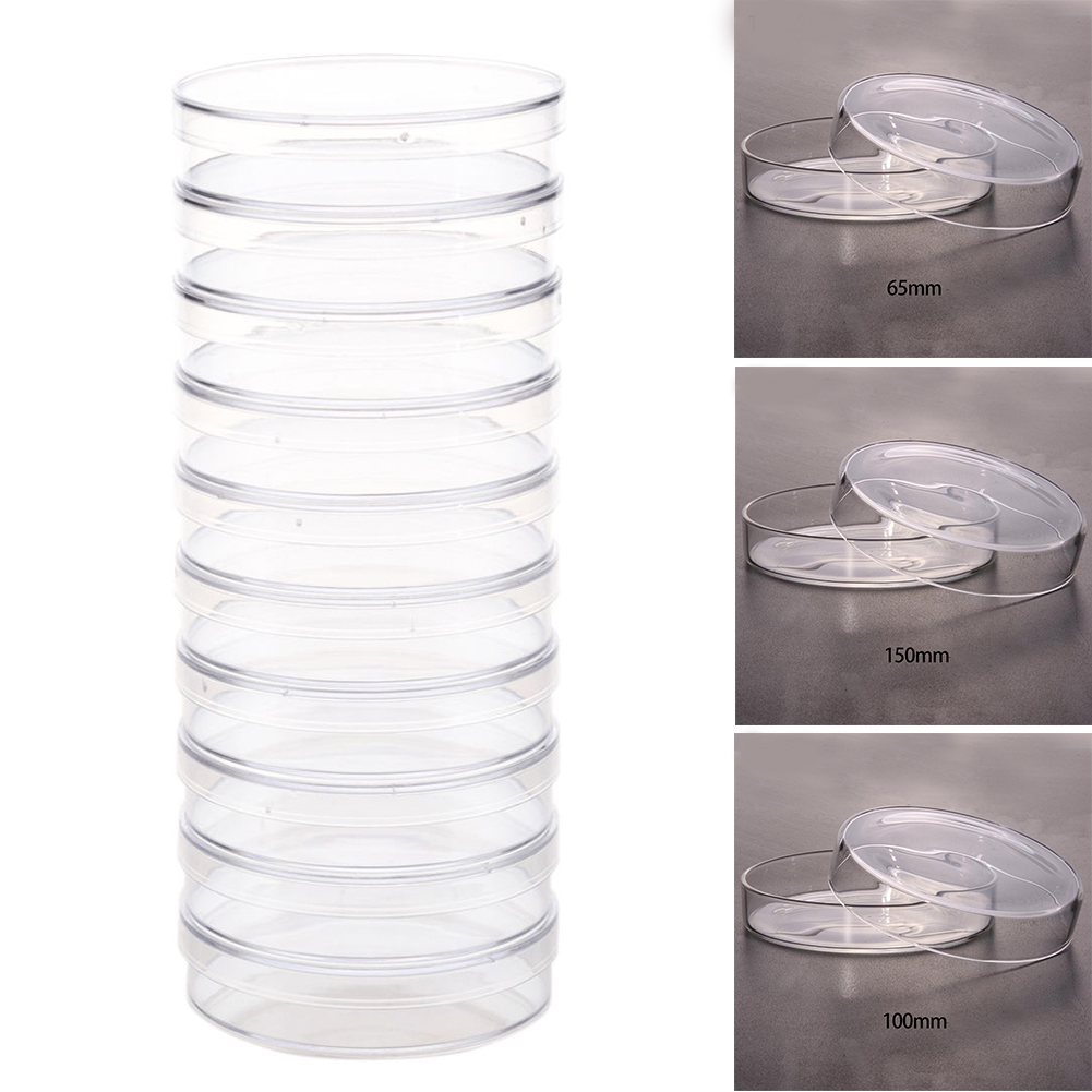 10pcs 35mm Petri Dishes Affordable For Cell Clear Sterile Chemical Instrument #734