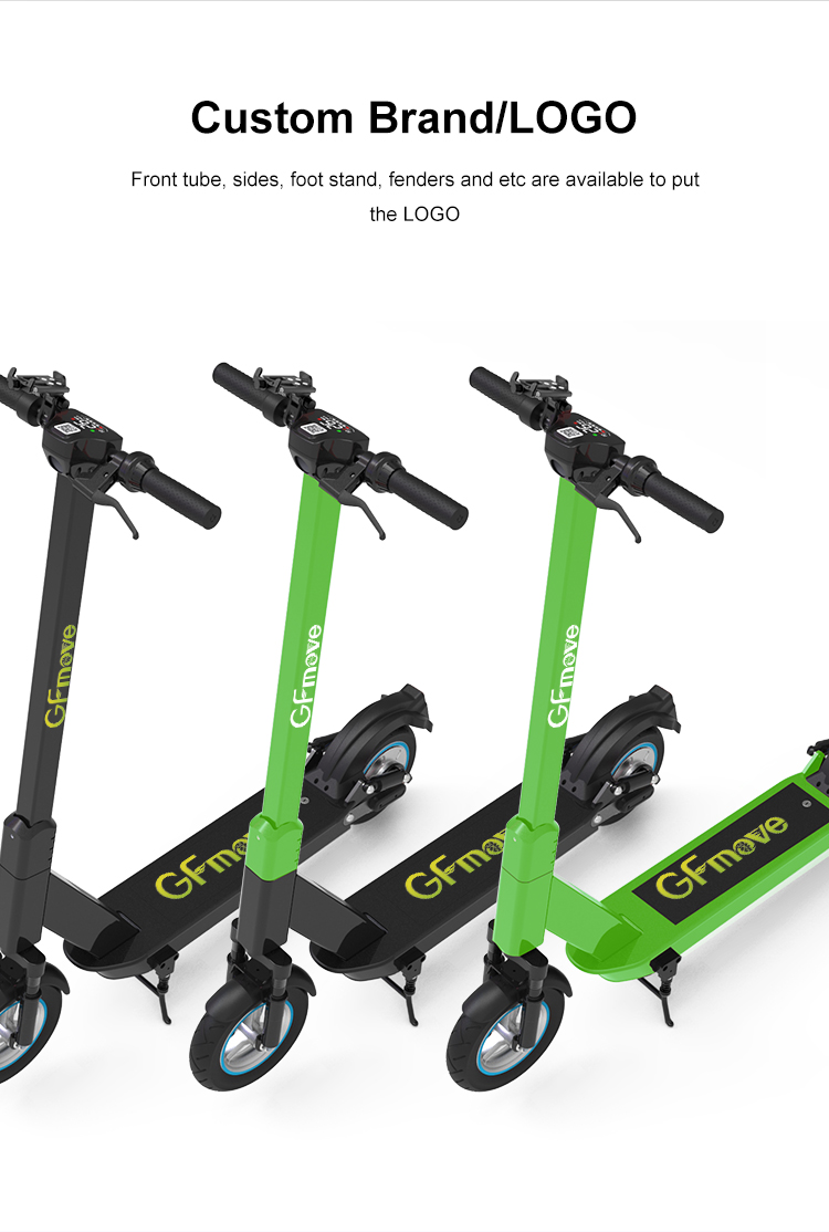 Gofunow Rental Scooters VS10 Pro (9)