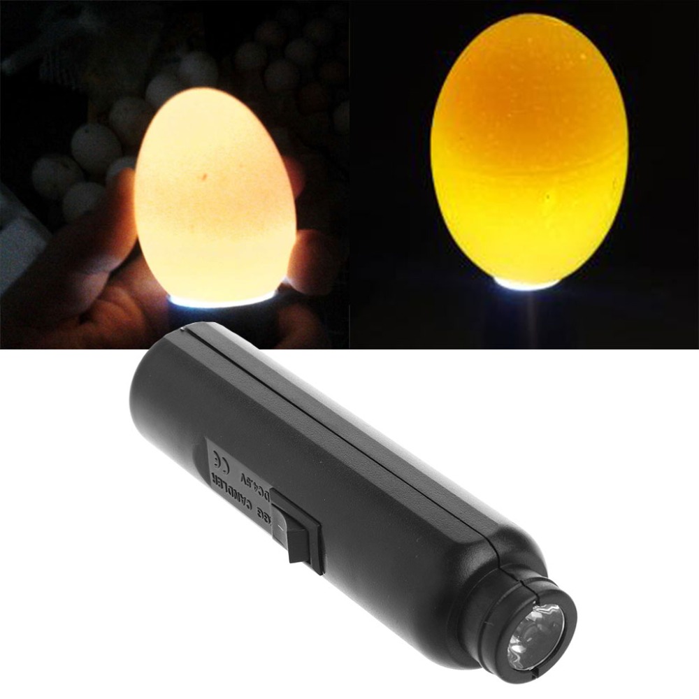 LED Light Incubator eggs Candler Tester For Hatching eggs Quail Poultry with Power Adapter