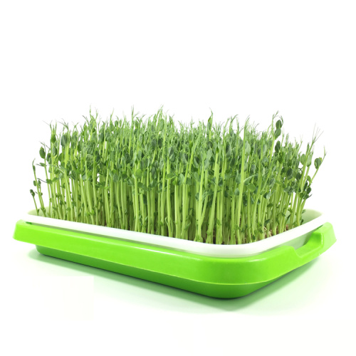 Flat PP Seed Tray plastic seed tray Manufacturers and Flat PP Seed Tray plastic seed tray Suppliers