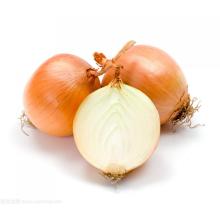 Fresh onion with high quality