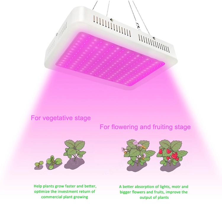 Indoor Plants Veg&Flower 1000W Greenhouse Led Grow Light