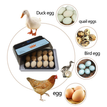 Quail 15 Eggs Poultry Chicken Duck Goose Digital Parrot Brooder Incubator Hatchery Home LED Light Temperature Display
