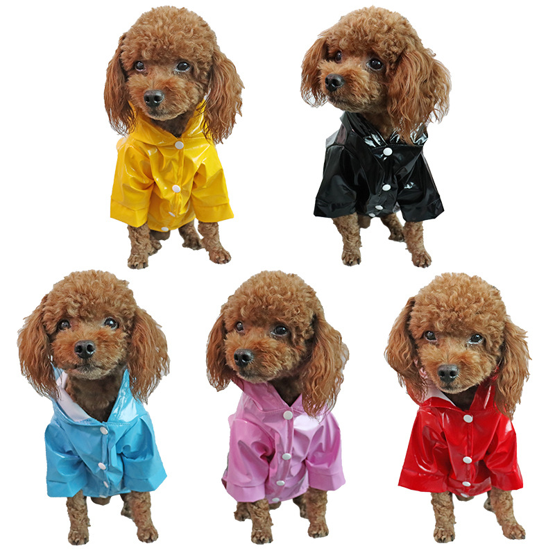 Pet Clothing