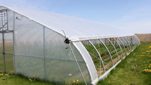 PE Film greenhouse for Agriculture Low cost Tunnel