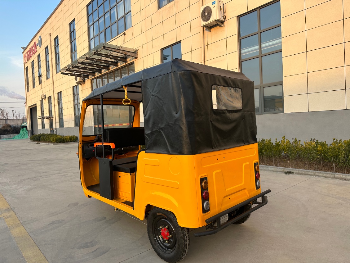 Two-row electric tricycle