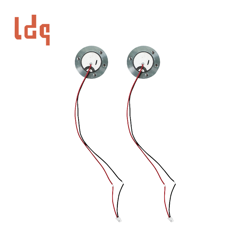 Ultrasonic Beauty Instrument Transducer