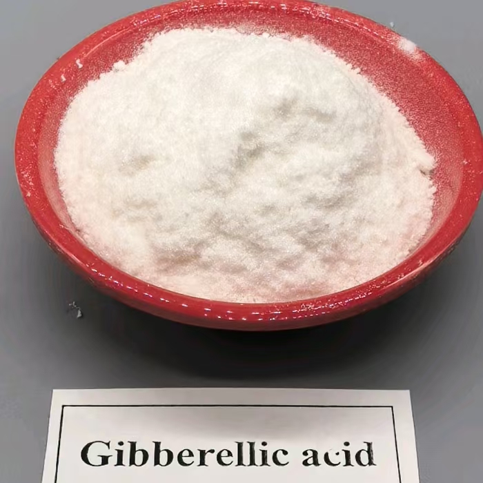 Gibberellic acid (GA-3) 90%TC plant growth regulator  (23)