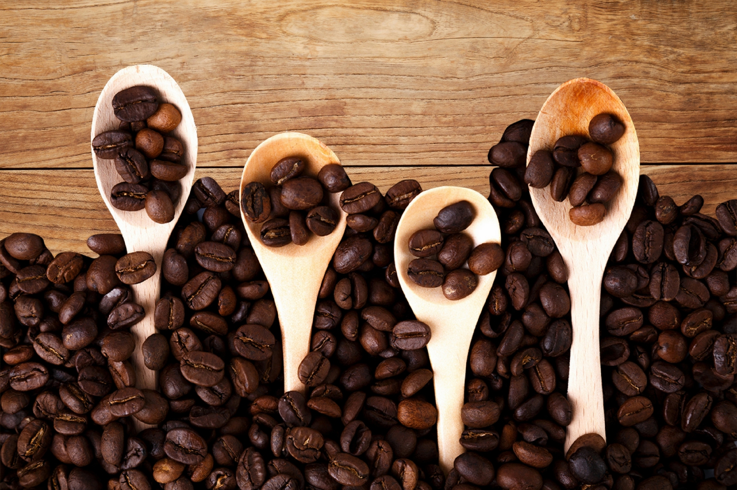 Plant Green Coffee