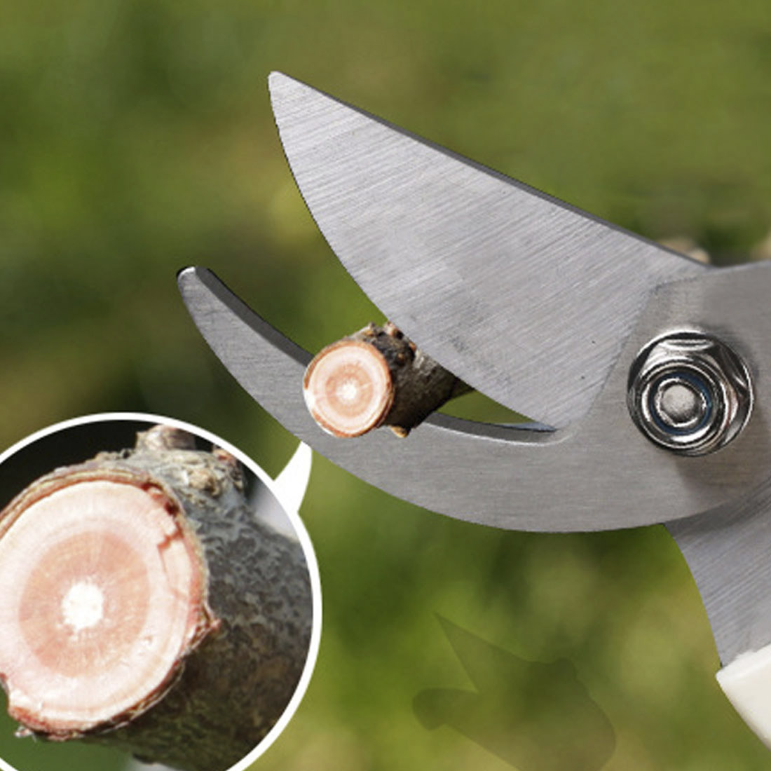 Anti-slip Gardening Pruning Shear Scissor Stainless Steel Cutting Tools Pruner Tree Cutter Home Tools Gardening Tools