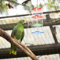 Parrot Hanging Foraging Feeder Acrylic Food Holder Training Pet Pet Supply