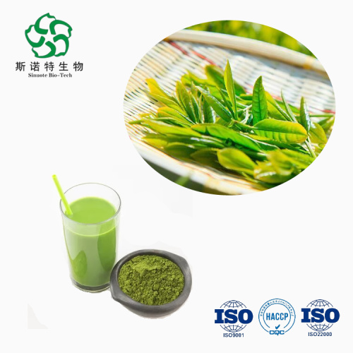 High Quality Instant Matcha Tea Powder for Sale, Offer High Quality Instant Matcha Tea Powder