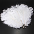 White Natural Ostrich Feathers Large Plume Beautiful Wedding Party Costume Craft Feather Home Decor Gift 30-35cm/40-45cm 10PCS